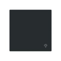 Busch-Jaeger Wippe Schalter schwarz matt 2520 LI-45M Licht