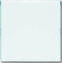 Busch-Jaeger Blindzentralscheibe stws 63,5x63,5, mit Beschriftungs 1576 CN-84