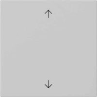 Gira Wippe 1-fach Grau 5389015