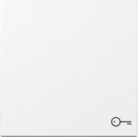 GIRA 328703 Wippe Symbol Tür System 55 Reinweiß glänzend