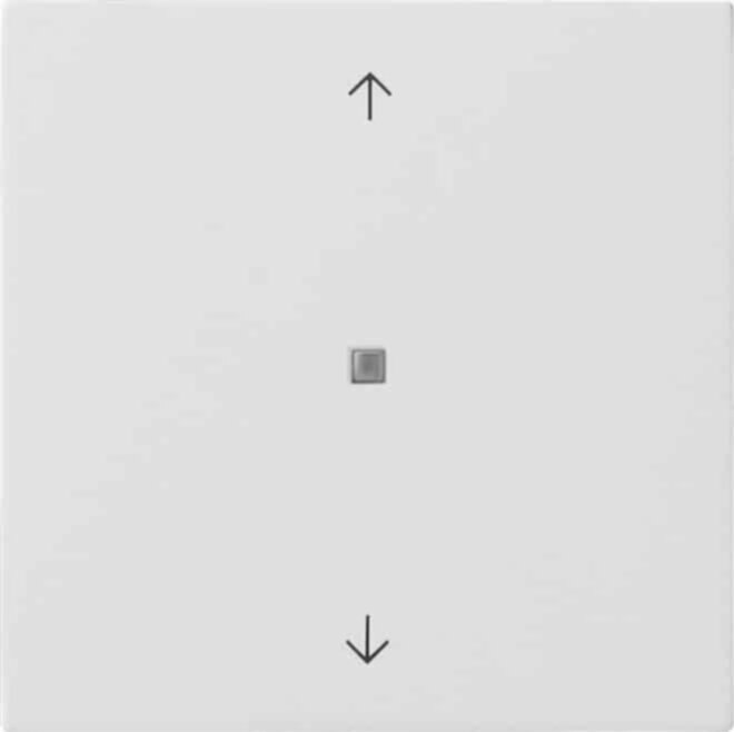 Gira Gira Taster Wippe KNX, 1fach Pfeile ws 5172112