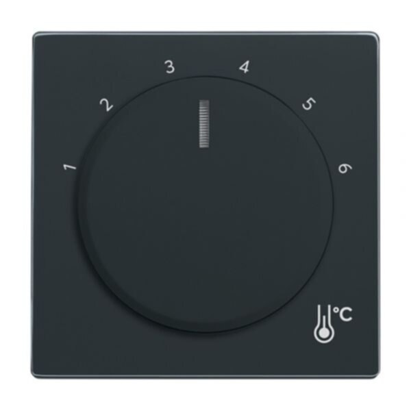 Busch-Jaeger Busch-Jaeger Zentralplatte Raumtemp anthrazit 1794 R-81 matt diverse Symbole