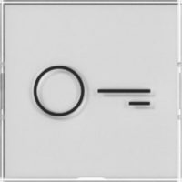 GIRA 321800 Wippe BSF+Symbol Tür groß tastbar System 55 Farbneutral