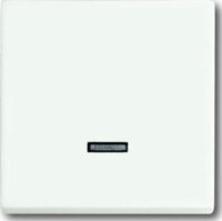 Busch-Jaeger Bedienelement Memory 6543-884-101