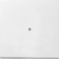 Gira Tast-Kontrollschalt. rwsgl 0136112