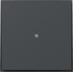 Gira 349067 Wippe gerade Kontrollfenster TX_44 Anthrazit