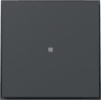 GIRA 349067 Wippe gerade Kontrollfenster TX_44 Anthrazit