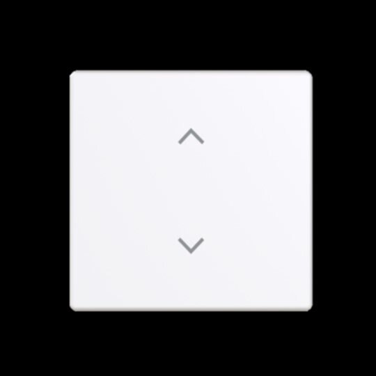 Busch-Jaeger Wippe Schalter/Dimmer studioweiß 6735-11-84 glänzend Pfeile
