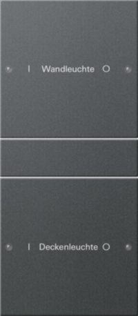 Gira Wippenset 2-fach beschr. Sys 55 Anthr 220228