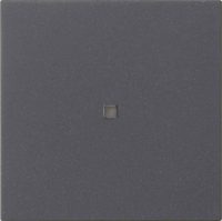 Gira Funk-Bedienaufsatz Anthrazit 549528