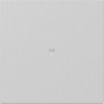 Gira 3490015 Wippe gerade Kontroll- fenster System 55 Grau matt (lackiert)