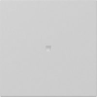 GIRA 3490015 Wippe gerade Kontroll- fenster System 55 Grau matt (lackiert)