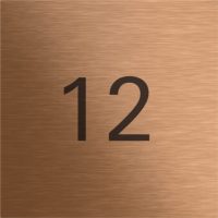 Gira Info-Modul System 106 Bronze 5560921