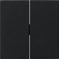 Gira Wippe 2fach Tastschalter System 55 schwarz 0915005