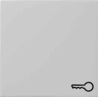 Gira Wippe Symbol Tür grau 0287015