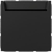 GIRA 3140005 Hotel-CardS+N-Kl.System 55 Schwarz matt