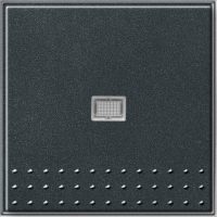 Gira Taster kompl. m. Linse ant 012067