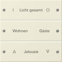 Gira Wippenset 3-fach beschr. Sys 55 creinweiß 220301