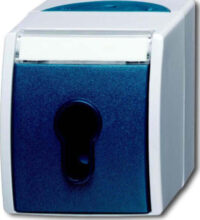 Busch-Jaeger Schlüsselschalter Aufputz 2733 SLW-53