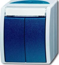 Busch-Jaeger Doppeltaster 2 Schliesser Aufputz 2621 WN-53-205-101