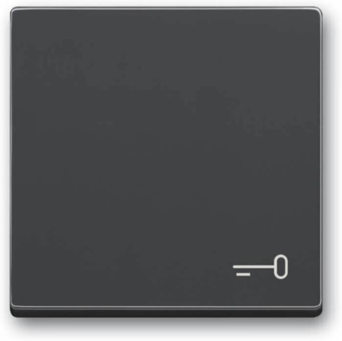Busch-Jaeger Busch-Jaeger Wippe mit Aufdruck anthrazit 2520 TR-81