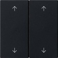 Gira Wippe 2-fach Schwarz 5387005