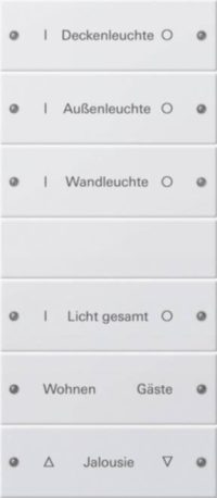 Gira Wippenset 6-fach beschr. Sys 55 reinweiß 220603