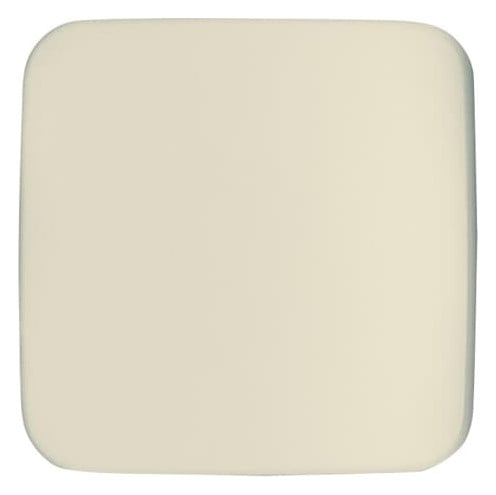 Busch-Jaeger Busch-Jaeger Zentralscheibe weiß neutral 1790-580-212