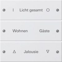 GIRA 220303 Wippenset 3fach beschreibbar System 55 Reinweiß glänzend (lackiert)