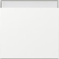 GIRA 329903 Wippe Beschriftungsfeld System 55 Reinweiß glänzend