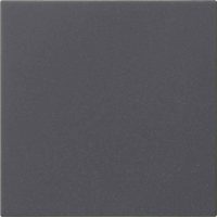 Gira Bedienaufsatz System anthrazit 536028