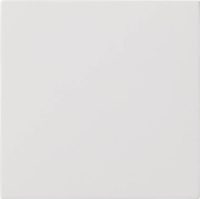 Gira Bedienaufsatz reinweiß Flächenschalter 5360112