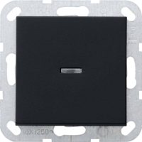 Gira Taster schwarz Kontrolle,Aus 2-p 0122005