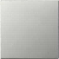 GIRA 3496600 Wippe gerade System 55 Edelstahl