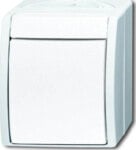 Busch-Jaeger Wechselschalter 2601/6 W-54