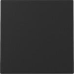 Gira 3296005 Wippe System 55 Schwarz matt (lackiert)