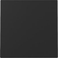 GIRA 3296005 Wippe System 55 Schwarz matt (lackiert)