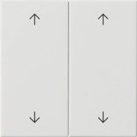 Gira Wippe 2-fach Reinweiß 538703