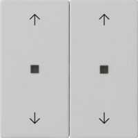 Gira Wippe 2-fach Grau 5386015