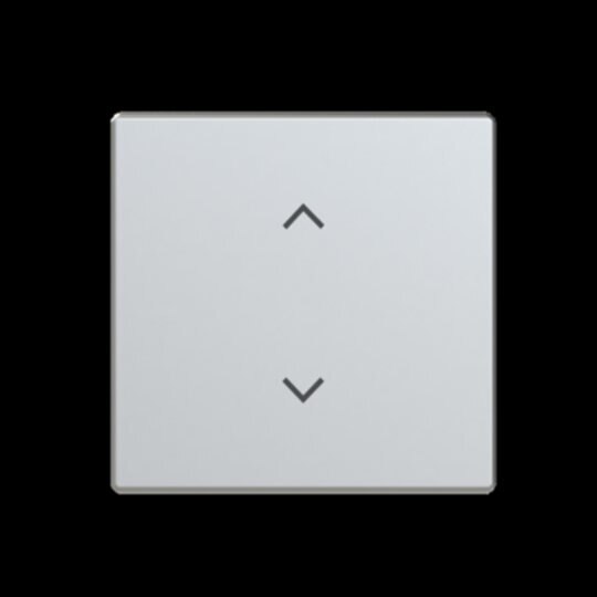 Busch-Jaeger Wippe Schalter/Dimmer Edelstahl matt 6735-11-866 Pfeile