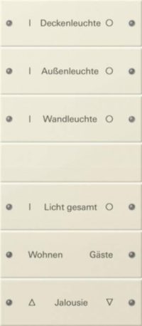 Gira Wippenset 6-fach beschr. Sys 55 creinweiß 220601