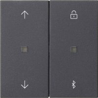 Gira Jalousie- + Schaltuhr Bluetooth Sys.55 Ant 536728