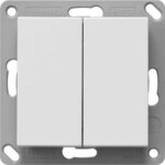 Gira BT Wandsender 2-fach reinweiß 246227