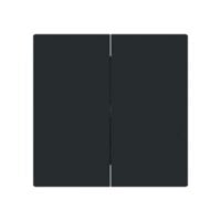 Busch-Jaeger Wippe_2t Schalter schwarz matt 1785-45M