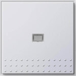 Gira Taster kompl. mit Linse rw 012066
