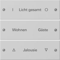 Gira Wippenset 3-f. beschr. grau lackiert 2203015