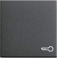 Gira Wippe Tür anthrazit System55 028728