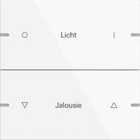 Gira Wippenset 2-fach Tastsens.4 TS4 reinweiß 5032903