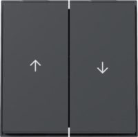 GIRA 329467 Wippe 2fach Pfeil TX_44 WG UP Anthrazit
