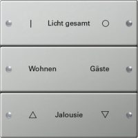 Gira Wippenset 3-fach beschr. Sys 55 eds 2133602